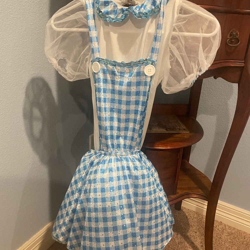 A WISH COME TRUE easy down the road size LC dance recital costume